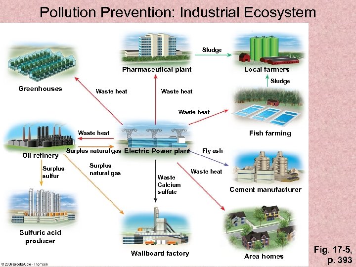 Pollution Prevention: Industrial Ecosystem Sludge Pharmaceutical plant Local farmers Sludge Greenhouses Waste heat Fish