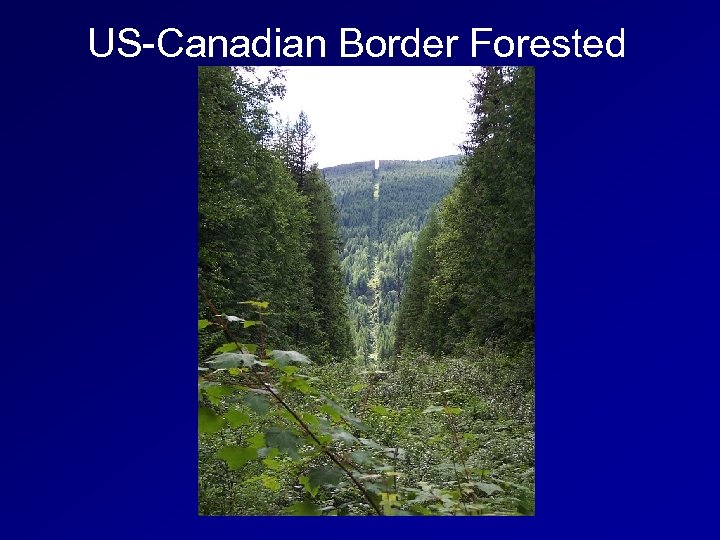US-Canadian Border Forested 