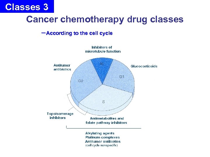 Classes 3 Cancer chemotherapy drug classes －According to the cell cycle 