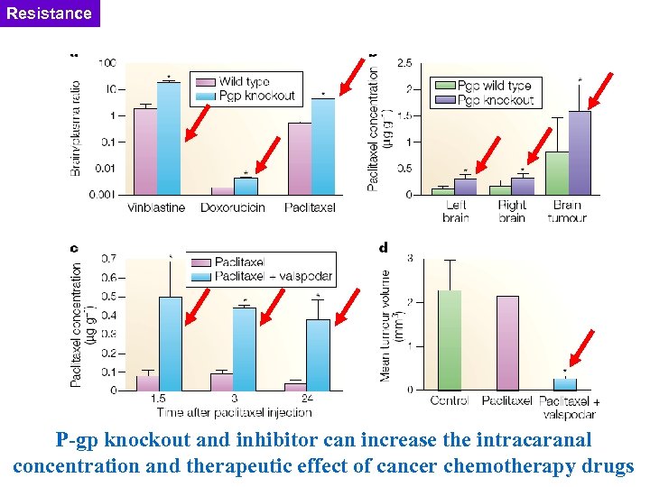 Resistance P-gp knockout and inhibitor can increase the intracaranal concentration and therapeutic effect of