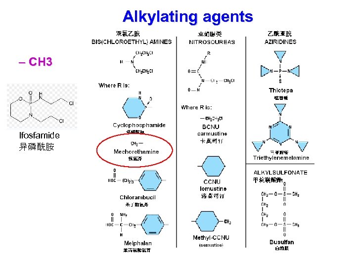 Alkylating agents – CH 3 Ifosfamide 异磷酰胺 