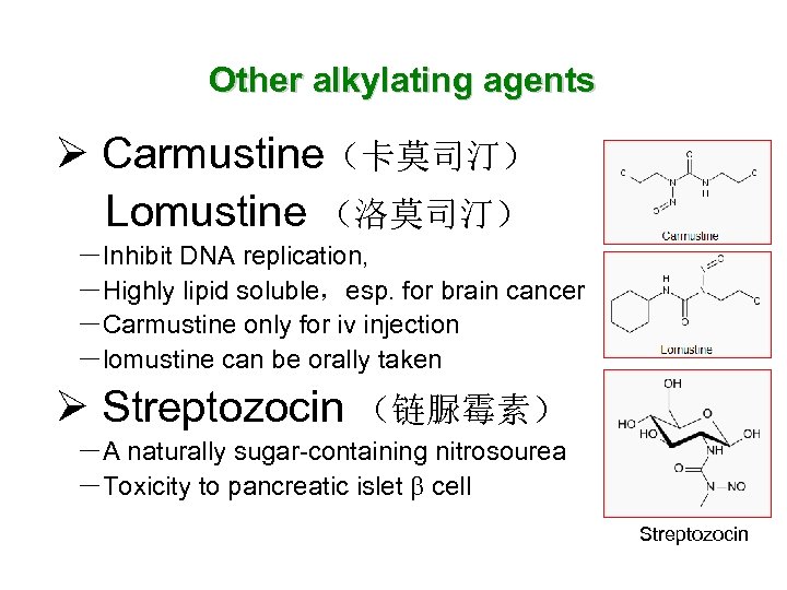 Other alkylating agents Ø Carmustine（卡莫司汀） Lomustine （洛莫司汀） －Inhibit DNA replication, －Highly lipid soluble，esp. for