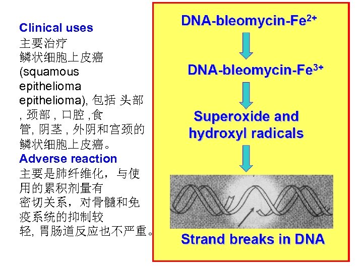 Clinical uses 主要治疗 鳞状细胞上皮癌 (squamous epithelioma), 包括 头部 , 颈部 , 口腔 , 食