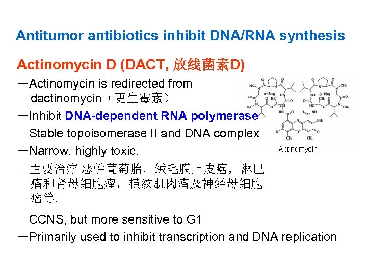 Antitumor antibiotics inhibit DNA/RNA synthesis Actinomycin D (DACT, 放线菌素D) －Actinomycin is redirected from dactinomycin（更生霉素）