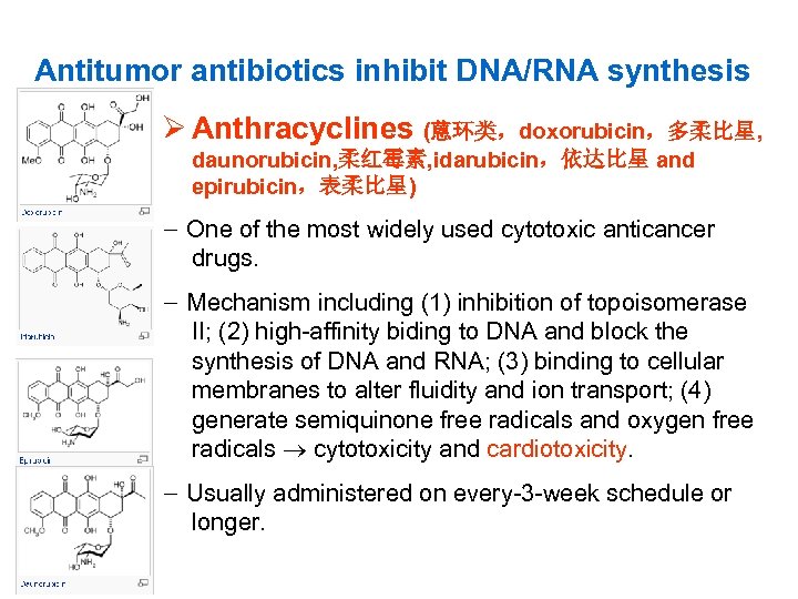 Antitumor antibiotics inhibit DNA/RNA synthesis Ø Anthracyclines (蒽环类，doxorubicin，多柔比星, daunorubicin, 柔红霉素, idarubicin，依达比星 and epirubicin，表柔比星) －