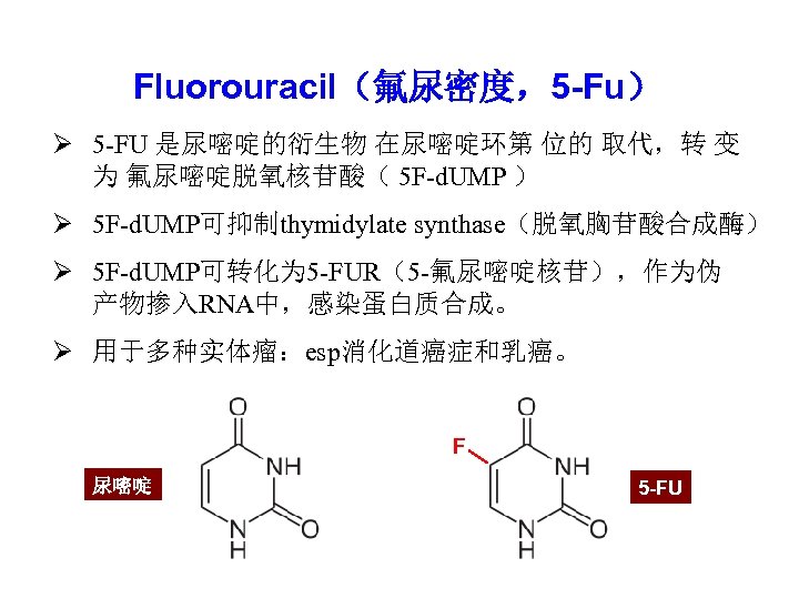 Fluorouracil（氟尿密度，5 -Fu） Ø 5 -FU 是尿嘧啶的衍生物 在尿嘧啶环第 位的 取代，转 变 为 氟尿嘧啶脱氧核苷酸（ 5 F-d.