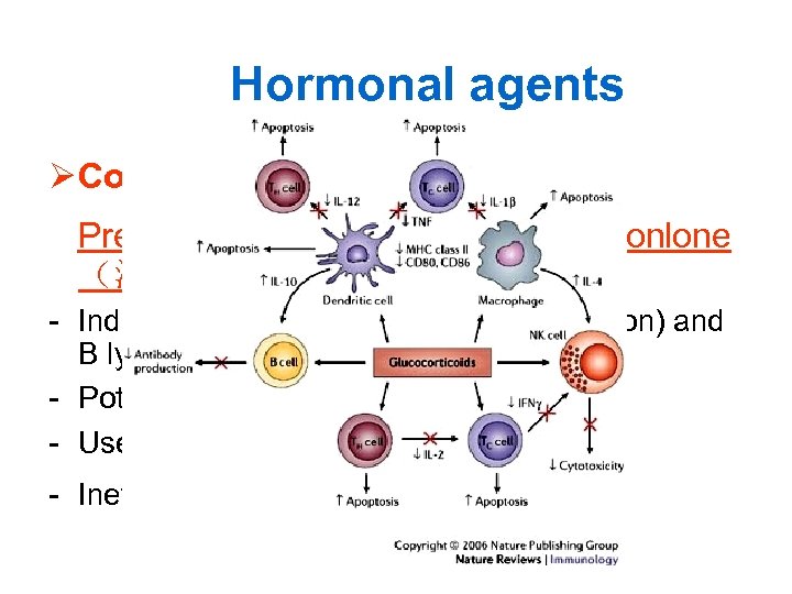 Hormonal agents Ø Corticosterioids Prednisone（泼尼松） and prednisonlone （泼尼松龙） - Inducing apoptosis of T (low