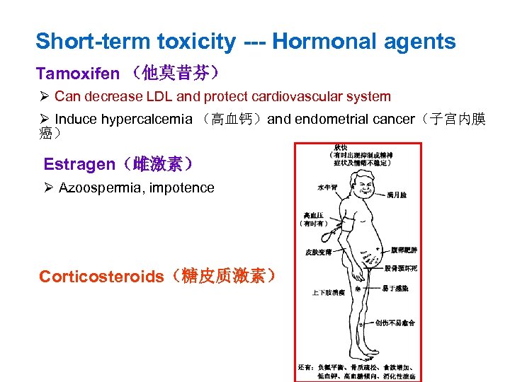 Short-term toxicity --- Hormonal agents Tamoxifen （他莫昔芬） Ø Can decrease LDL and protect cardiovascular