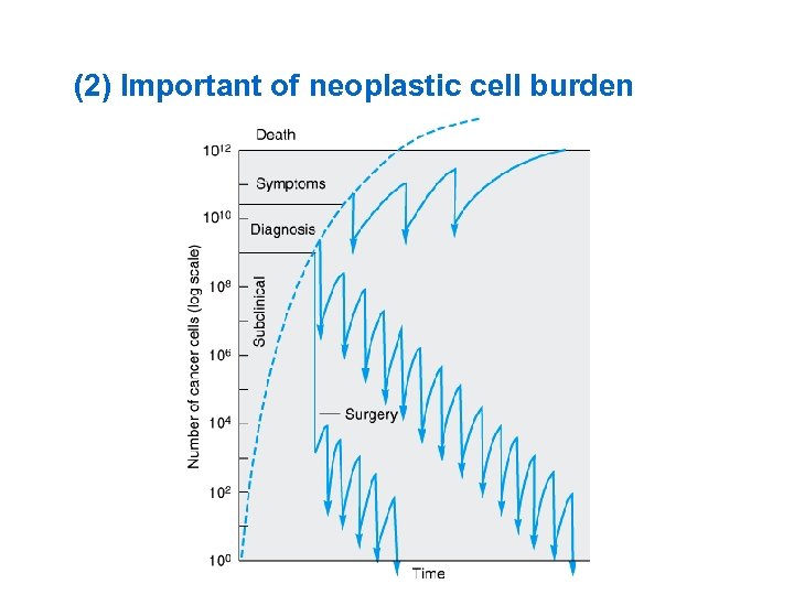 (2) Important of neoplastic cell burden 