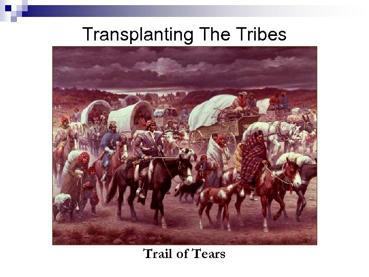 Transplanting The Tribes Trail of Tears 