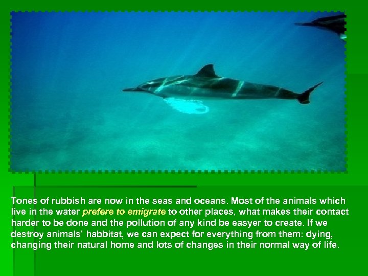 Tones of rubbish are now in the seas and oceans. Most of the animals