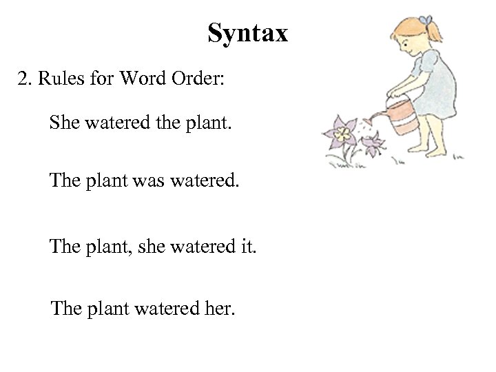 Syntax 2. Rules for Word Order: She watered the plant. The plant was watered.