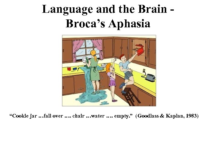 Language and the Brain Broca’s Aphasia “Cookie jar …fall over …. chair …water ….