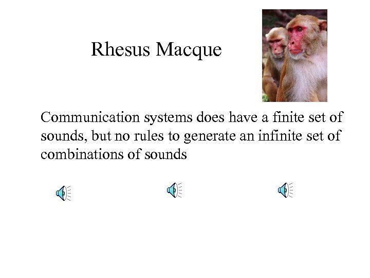 Rhesus Macque Communication systems does have a finite set of sounds, but no rules