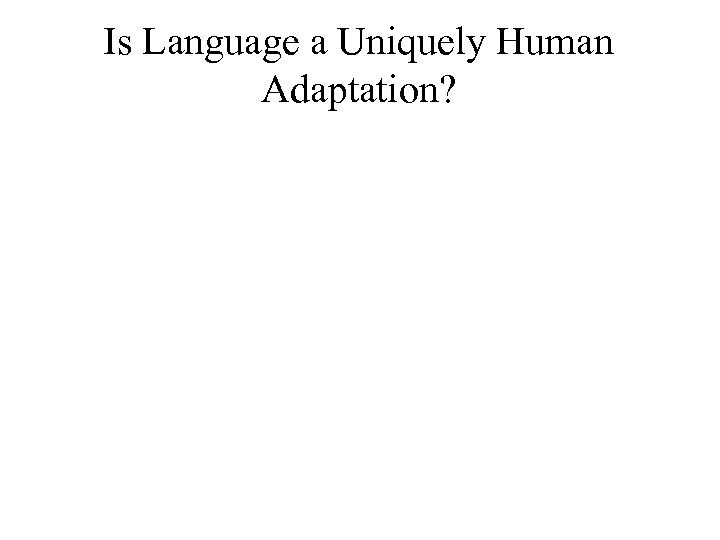 Is Language a Uniquely Human Adaptation? 