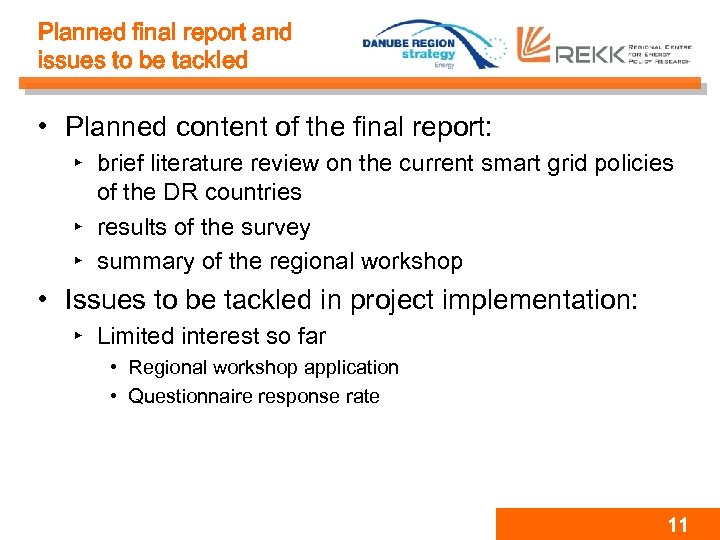 Planned final report and issues to be tackled • Planned content of the final