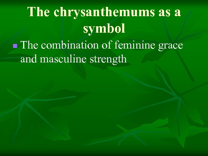 The chrysanthemums as a symbol n The combination of feminine grace and masculine strength