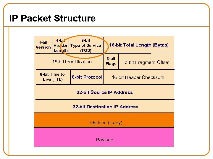 IP Packet Structure 4 -bit 8 -bit 4 -bit Version Header Type of Service
