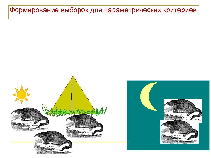 Формирование выборок для параметрических критериев 