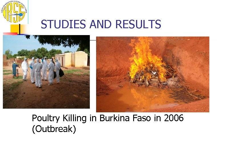 STUDIES AND RESULTS Poultry Killing in Burkina Faso in 2006 (Outbreak) 