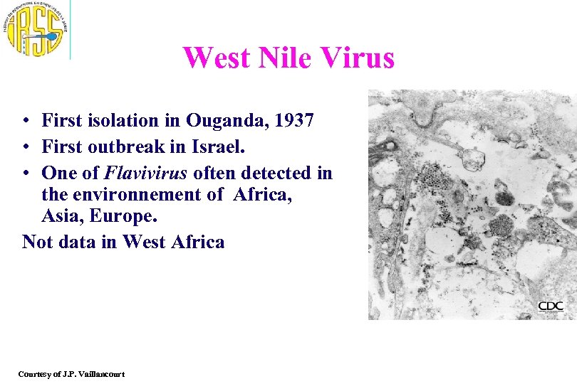 West Nile Virus • First isolation in Ouganda, 1937 • First outbreak in Israel.