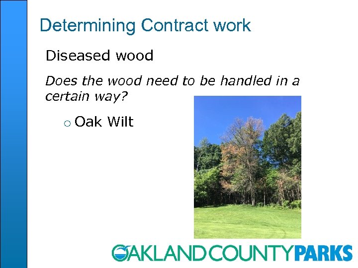 Determining Contract work Diseased wood Does the wood need to be handled in a