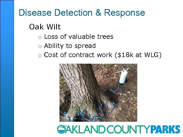 Disease Detection & Response Oak Wilt o Loss of valuable trees o Ability to