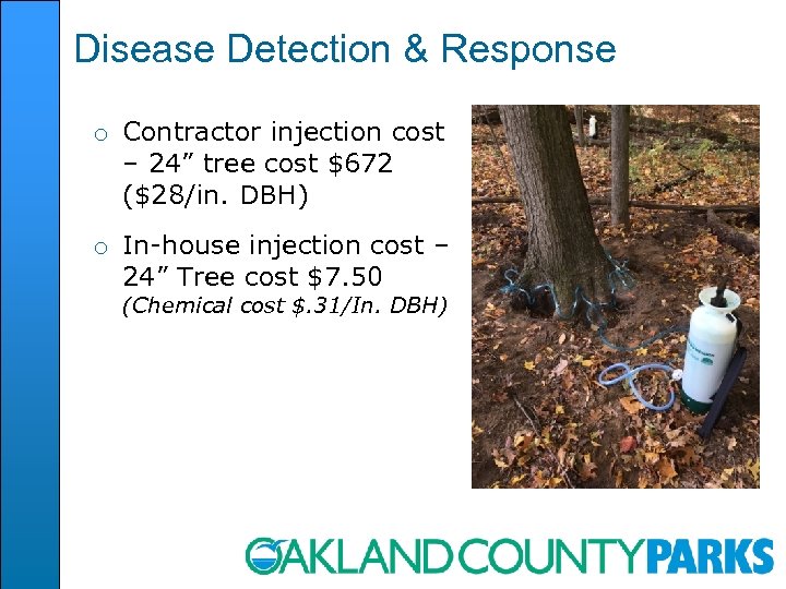 Disease Detection & Response o Contractor injection cost – 24” tree cost $672 ($28/in.