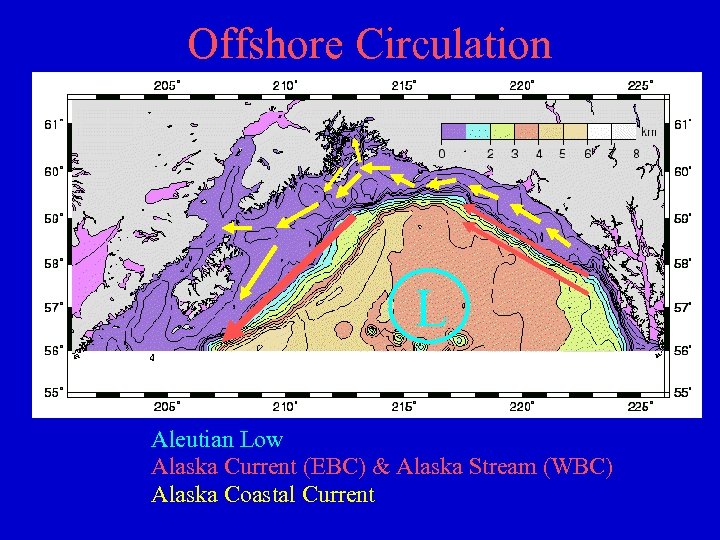 Offshore Circulation L Aleutian Low Alaska Current (EBC) & Alaska Stream (WBC) Alaska Coastal