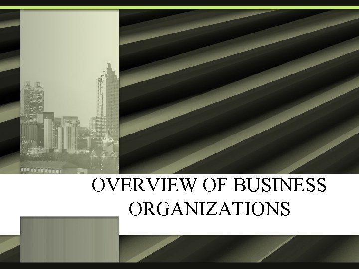 OVERVIEW OF BUSINESS ORGANIZATIONS 