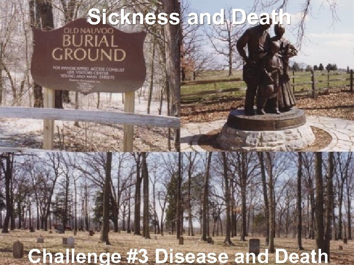 Sickness and Death Challenge #3 Disease and Death 
