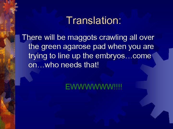 Translation: There will be maggots crawling all over the green agarose pad when you