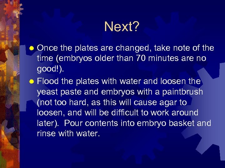 Next? ® Once the plates are changed, take note of the time (embryos older