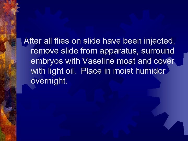 After all flies on slide have been injected, remove slide from apparatus, surround embryos