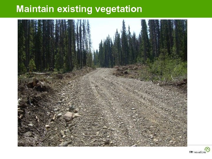 Maintain existing vegetation 