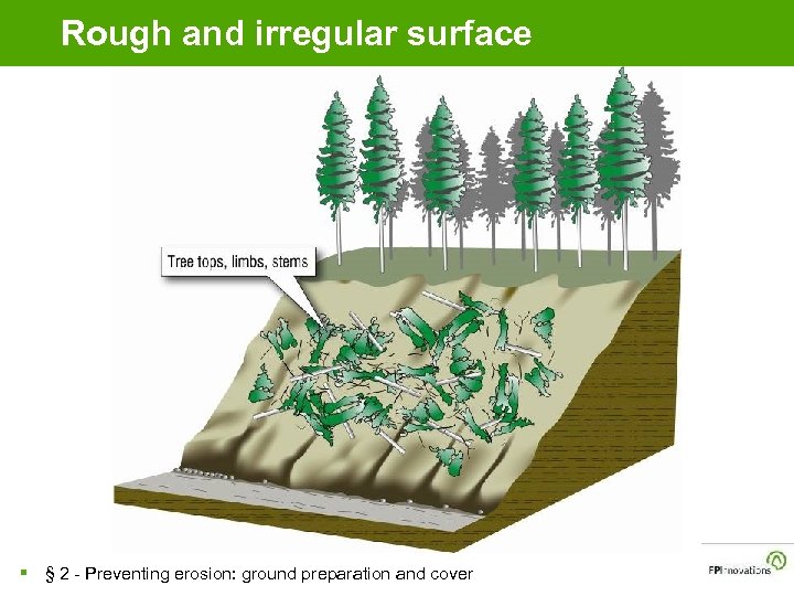 Rough and irregular surface § § 2 - Preventing erosion: ground preparation and cover