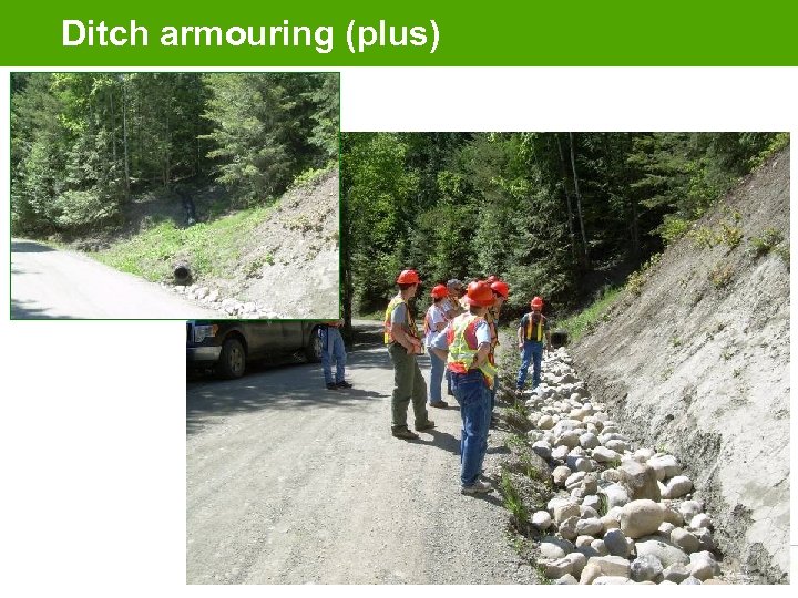 Ditch armouring (plus) 