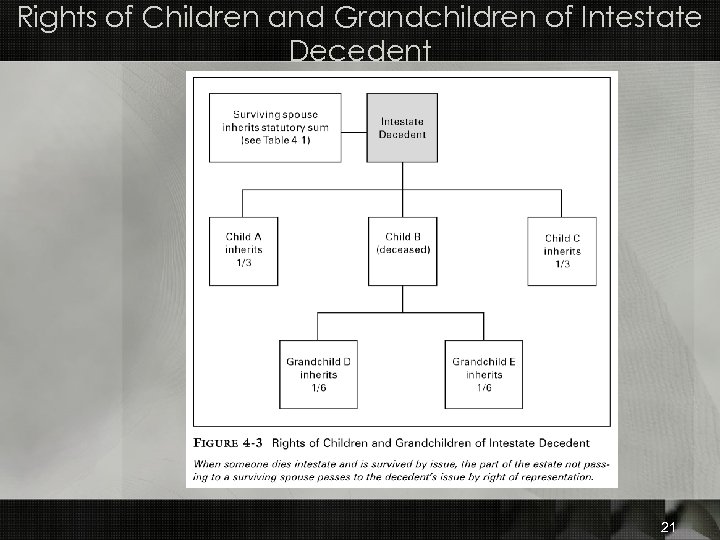 Rights of Children and Grandchildren of Intestate Decedent 21 