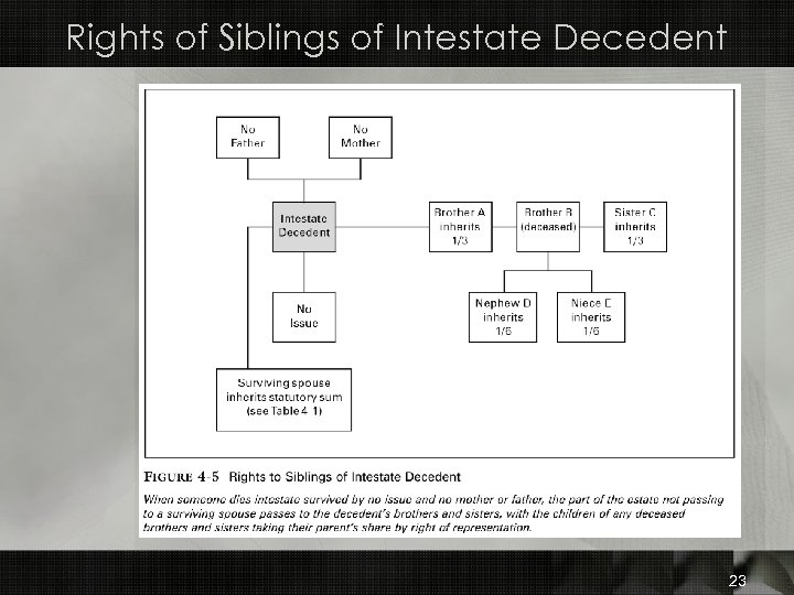 Rights of Siblings of Intestate Decedent 23 
