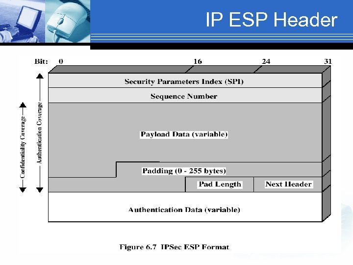 IP ESP Header 