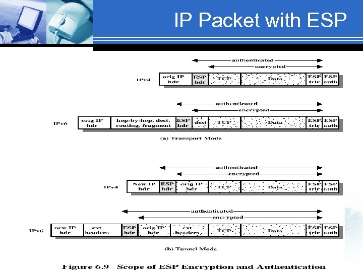 IP Packet with ESP 