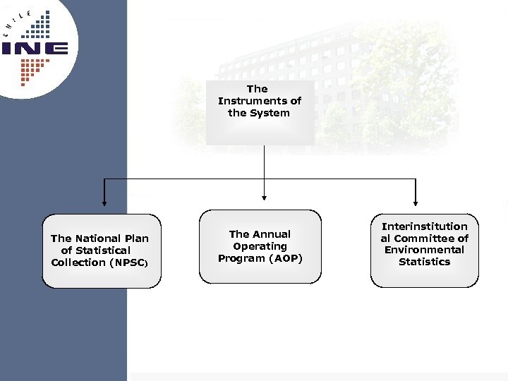  The Instruments of the System The National Plan of Statistical Collection (NPSC) The