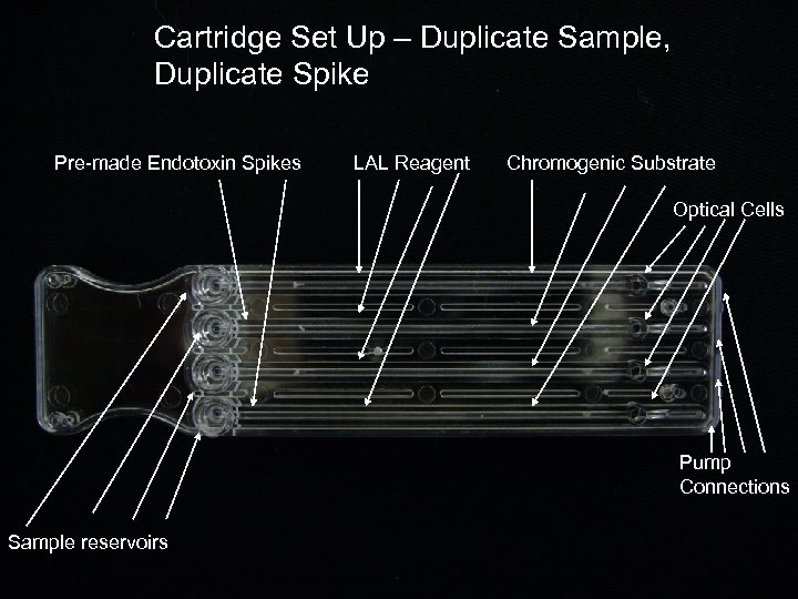 Cartridge Set Up – Duplicate Sample, Duplicate Spike Pre-made Endotoxin Spikes LAL Reagent Chromogenic