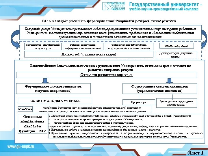 Роль молодых ученых в формировании кадрового резерва Университета Кадровый резерв Университета представляет собой сформированные