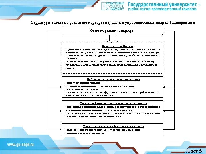 Структура отдела по развитию карьеры научных и управленческих кадров Университета Отдел по развитию карьеры