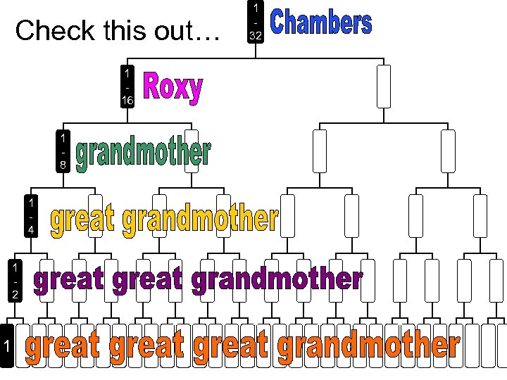 Check this out… 1 16 1 8 1 4 1 2 1 1 32