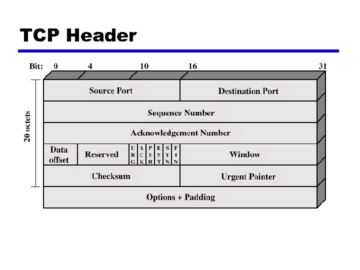 TCP Header 