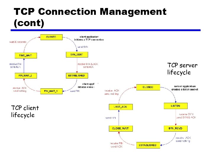 TCP Connection Management (cont) TCP server lifecycle TCP client lifecycle 