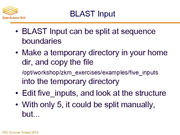 BLAST Input • BLAST Input can be split at sequence boundaries • Make a