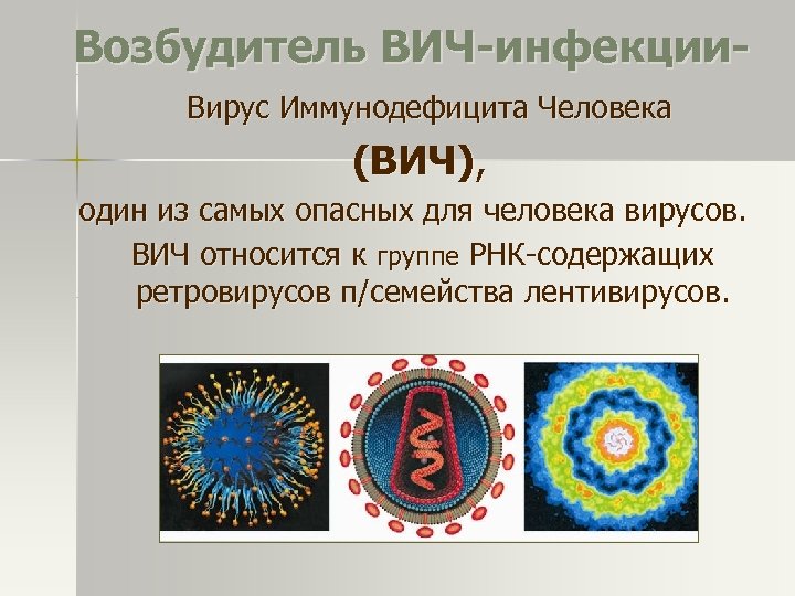 Возбудитель ВИЧ-инфекции. Вирус Иммунодефицита Человека (ВИЧ), один из самых опасных для человека вирусов. ВИЧ